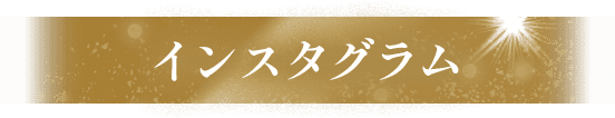 インスタグラム